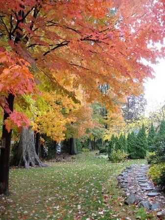 Black River Reservation